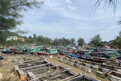 Các tàu, thuyền về nơi tránh trú bão an toàn. (Ảnh: TTXVN phát)
