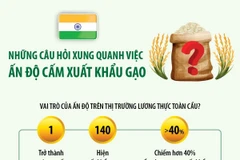 Những câu hỏi xung quanh việc Ấn Độ cấm xuất khẩu gạo
