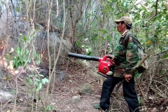 Lực lượng chữa cháy dùng máy thổi gió thổi bay lớp thực bì ngăn không cho đám cháy lan rộng. (Ảnh: Phước Ngọc/TTXVN)