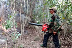 Lực lượng chữa cháy dùng máy thổi gió thổi bay lớp thực bì ngăn không cho đám cháy lan rộng. (Ảnh: Phước Ngọc/TTXVN)
