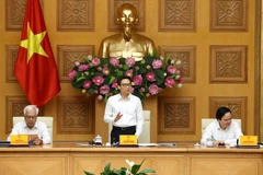 Phó Thủ tướng Vũ Đức Đam chủ trì phiên họp. (Ảnh: Dương Giang/TTXVN)