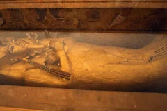 (Nguồn: aljazeera.com)