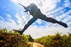 Lực lượng vũ trang Hậu Giang diễn tập tiến công địch đổ bộ đường không