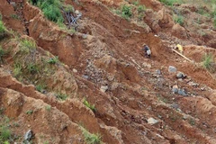 (Ảnh minh họa: Phan Tuấn Anh/TTXVN)