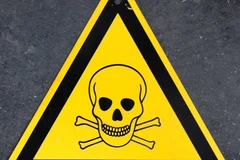 Báo "Hình ảnh": Quân đội Mỹ từng vận hành vũ khí bệnh than ở Đức 