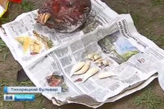 [Video] Hai người Việt ở Nga bị bắt vì buôn hổ Amur quý hiếm