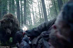 Fox bác tin Leo DiCaprio bị gấu cưỡng hiếp trong The Revenant