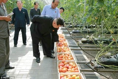 Daily Mail: Ông Kim Jong Un yêu cầu kiểm tra rau củ vì sợ bị đầu độc?