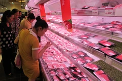 Ảnh chỉ mang tính minh họa. (Nguồn: Đức Duy/Vietnam+)