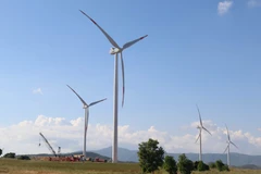 Ảnh chỉ mang tính minh họa. (Nguồn: TTXVN)