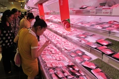 Ảnh chỉ mang tính minh họa. (Nguồn: PV/Vietnam+)