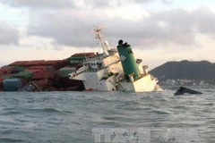 Bà Rịa-Vũng Tàu: Tiếp tục tìm kiếm container trôi dạt