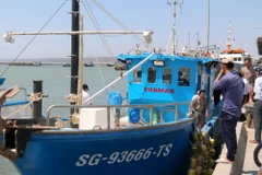 Ngư dân Bình Thuận tiếp cận tàu đánh bắt xa bờ bằng composite