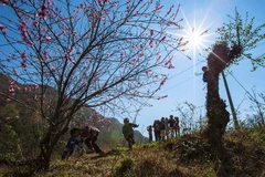 Nhiệt độ khu vực Tây Bắc bộ tăng nhanh, nóng như ngày đầu Hè