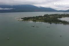 Thị trấn Lăng Cô được mệnh danh là Vương quốc hàu xứ Huế. (Ảnh: Tùng Lâm/Vietnam+)