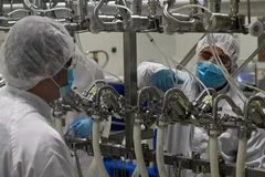 Kinh tế Singapore hưởng lợi nhờ nhu cầu dược phẩm toàn cầu tăng vọt 