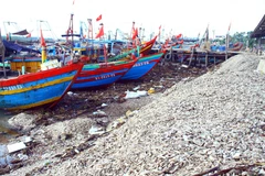 Vỏ sò, vỏ ốc dùi bị các chủ tàu thuyền đổ tràn lan hai bên cảng cá Lạch Vạn gây ô nhiễm môi trường nghiêm trọng. (Ảnh: Tá Chuyên/TTXVN)