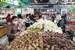 Lượng hàng hóa trong các hệ thống siêu thị luôn đảm bảo để người dân yên tâm mua sắm. (Ảnh: Thanh Tùng/TTXVN)