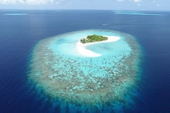 Nghiên cứu mới tuyên bố rằng các đảo san hô, chẳng hạn như Maldives (ảnh), có thể tự thích nghi để sống sót khi mực nước dâng cao. (Nguồn: dailymail.co.uk)