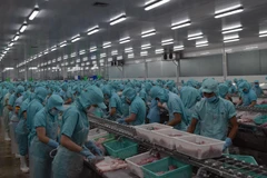 Chế biến cá tra xuất khẩu. (Ảnh: Chương Đài/TTXVN)