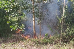 Hiện trường vụ cháy.( Ảnh: Quốc Dũng/TTXVN)