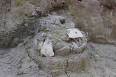 Hiện vật còn sót lại sau khai quật nghiên cứu khảo cổ học cụm di chỉ Vườn Chuối năm 2019. (Ảnh: Mạnh Khánh/TTXVN)