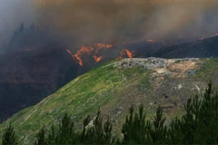 Cháy rừng tại New Zealand. (Nguồn: nzherald.co.nz)