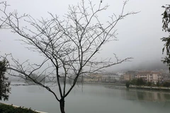 Thị trấn Sa Pa chìm trong sương mù và giá lạnh. (Ảnh: Quốc Khánh/TTXVN)