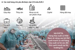 [Infographics] Cấp hơn 7.200 bộ chứng nhận xuất xứ hàng hóa đi EU