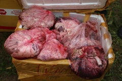 Lô hàng sản phẩm động vật đã bốc mùi hôi thối. (Ảnh: Phan Quân/TTXVN)