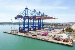 Hai cẩu trục RMQC siêu trường siêu trọng tại cảng quốc tế Gemalink Bà Rịa-Vũng Tàu. (Ảnh: Lê Ngọc Phước/TTXVN)