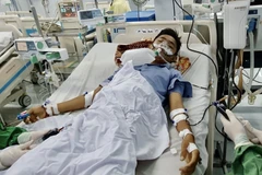 Sau 4 ngày cấp cứu và điều trị tích cực, hiện bệnh nhân T. tỉnh táo, sức khỏe hồi phục, các dấu hiệu sinh tồn ổn định và tiếp tục nằm điều trị tại Bệnh viện sản Nhi An Giang. (Ảnh: Thanh Sang/TTXVN)