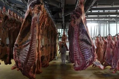 Một cơ sở chế biến thịt tại Pháp. (Nguồn: france24.com)