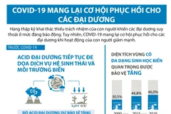 [Infographics] COVID-19 mang lại cơ hội phục hồi cho các đại dương
