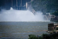 (Ảnh minh họa: Trọng Đạt/TTXVN)