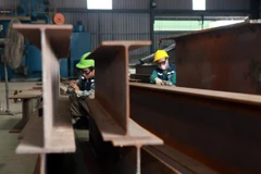 Ảnh chỉ mang tính minh họa. (Ảnh: Danh Lam/TTXVN)