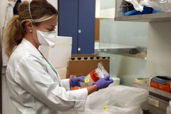 Kỹ thuật viên xét nghiệm các mẫu bệnh phẩm COVID-19 tại phòng thí nghiệm ở bệnh viện Ichilov, Tel Aviv, Israel, ngày 17/3/2020. (Ảnh: THX/TTXVN)