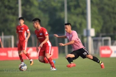  (Ảnh: Việt Anh/Vietnam+)