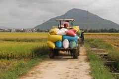 Ảnh minh họa. (Ảnh: Phạm Cường/TTXVN)