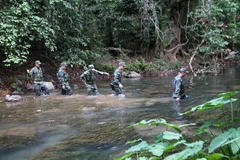 Bộ đội Biên phòng tỉnh Quảng Trị tuần tra bảo vệ an ninh trật tự và đường biên giới Tổ quốc. (Ảnh: Hồ Cầu/TTXVN)