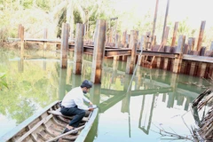 Cán bộ kỹ thuật của Sở Nông nghiệp và Phát triển nông thôn kiểm tra đo độ mặn tại đập ngăn mặn tạm thời trên sông Hàm Luông, xã Đông Sơn, thành phố Bến Tre. (Ảnh: Vũ Sinh/TTXVN)