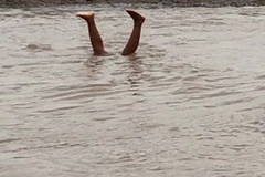 Ảnh minh họa. (Nguồn: TTXVN)