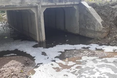 (Ảnh minh họa: Hoàng Nhị/TTXVN)