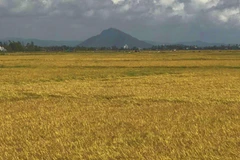 Ảnh minh họa. (Ảnh: Phạm Cường/TTXVN)
