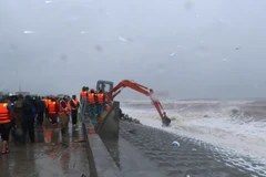 Đoàn kiểm tra công tác tác khắc phục sự cố đê biển tại Nam Định. (Ảnh: Văn Đạt/TTXVN)