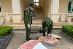 Lực lượng biên phòng Chi Ma (Lạng Sơn) kiểm tra số nầm lợn nhập lậu bị thu giữ. (Ảnh: TTXVN)