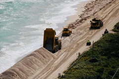 Hàng trăm nghìn tấn cát được đổ xuống bãi biển Miami. (Nguồn: AFP)