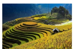 Mù Cang Chải - Điểm du lịch hàng đầu thế giới trong năm 2020