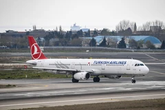 Một máy bay của Turkish Airlines tại sân bay Ataturk ở Istanbul, Thổ Nhĩ Kỳ. (Ảnh: AFP/TTXVN)