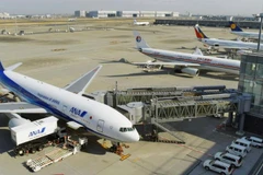 Máy bay của hãng hàng không All Nippon Airways Nhật Bản. (Nguồn: Kyodo)
